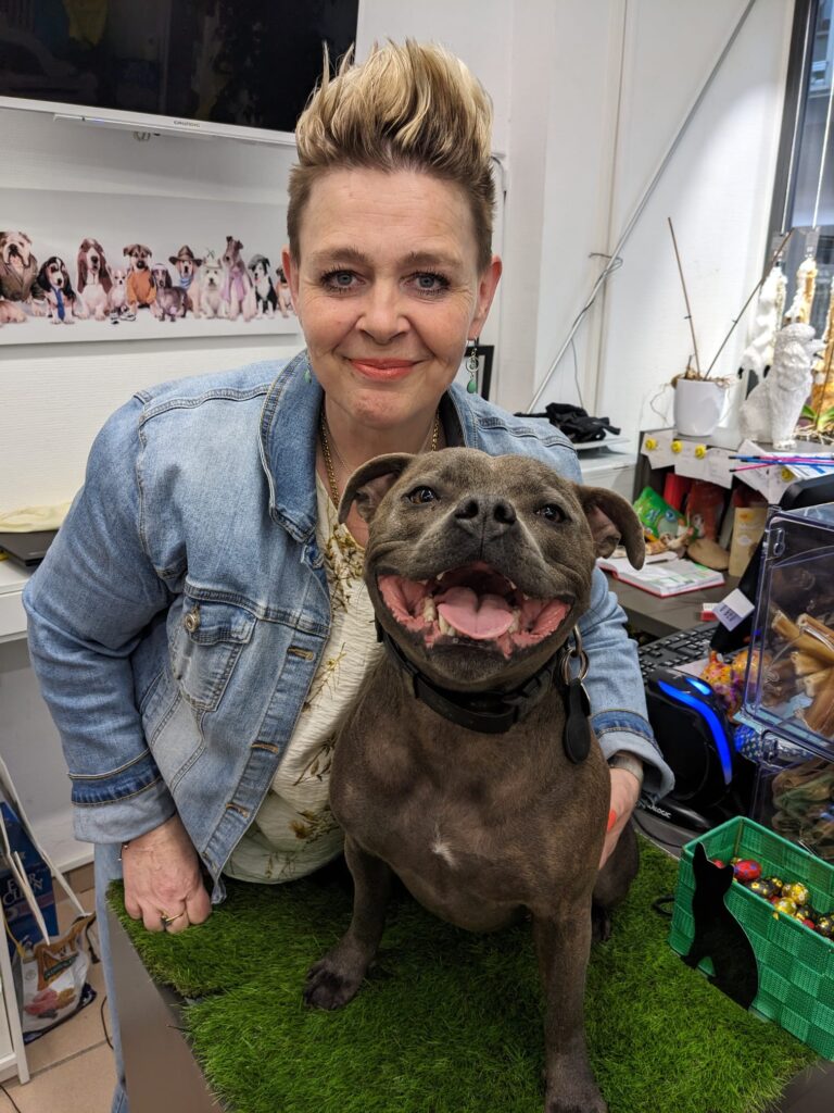 Scylla, 2ans 1/2 Staffordshire bull terrier (Staffie), il adore les bâtonnets de bœuf et les grandes ballade avec son maître en forêt. C'est un gros bébé plein d'amour