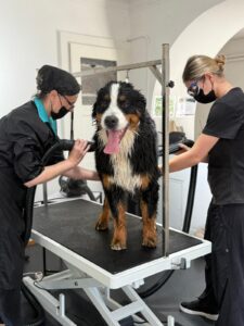 Rue du Lac 54, Montreux - Clarens en bas de Gambetta Places de parc à côté