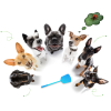 chien chat tiques chien chat tiques